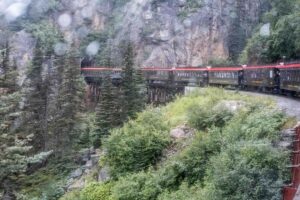 Denali Train