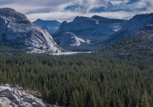 Yosemite21