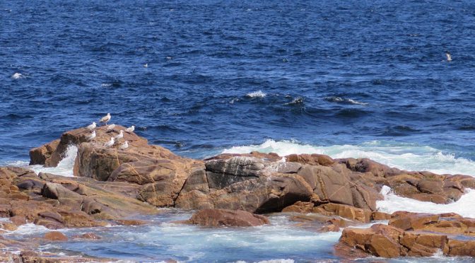 Secret Bays and Coves of Nova Scotia